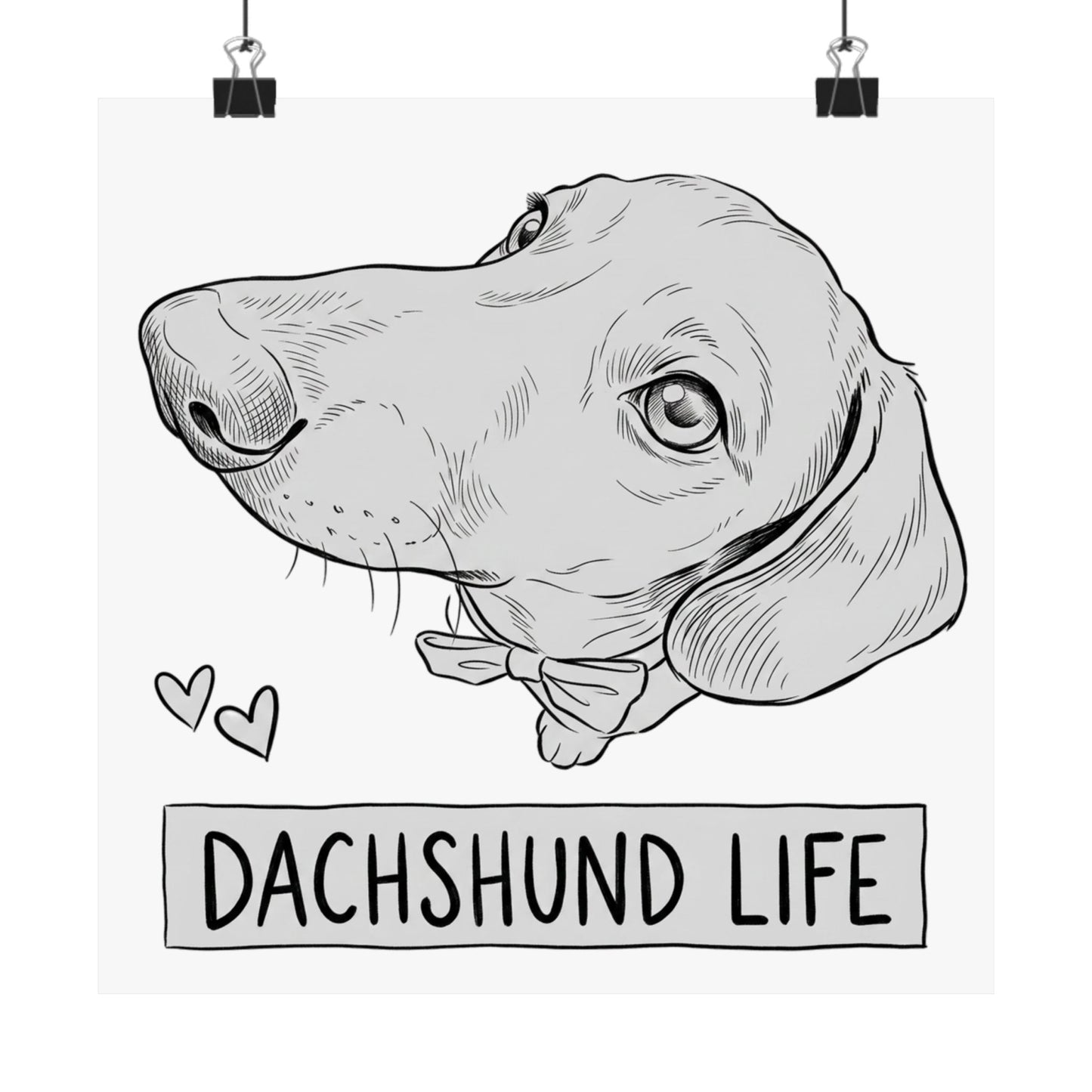 Dachshund Life