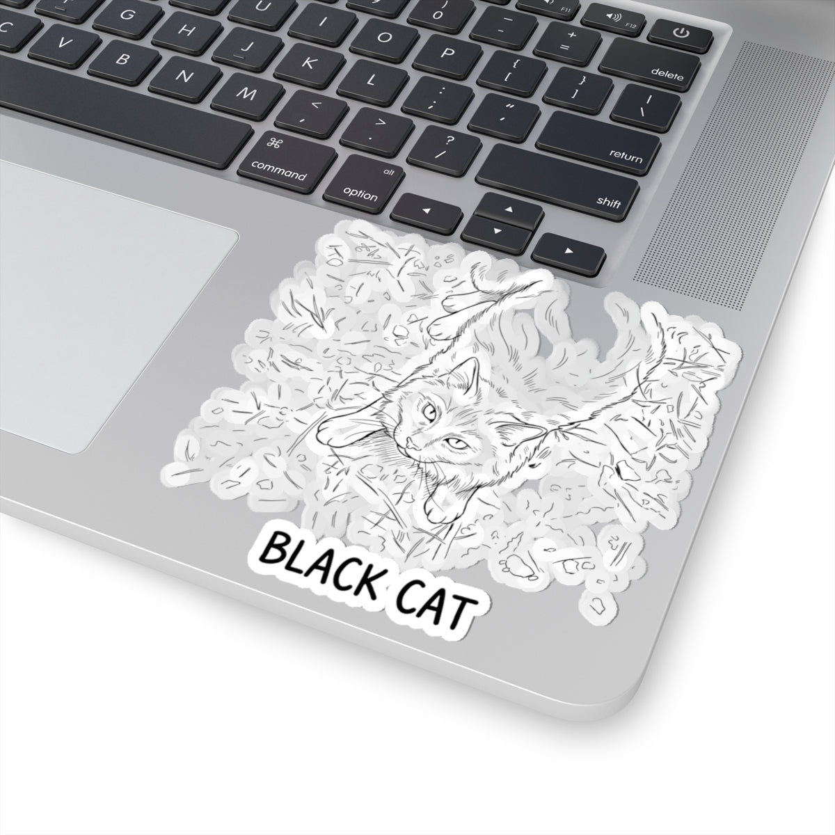 Black Cat