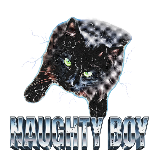 Naughty Boy