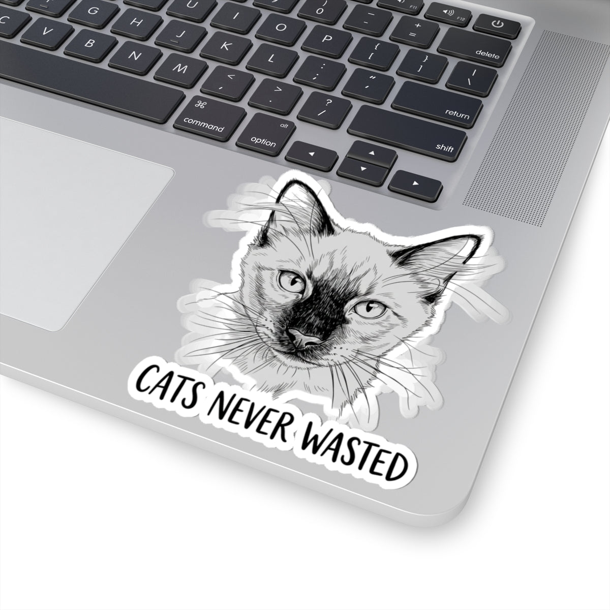 Cats Never Wasted