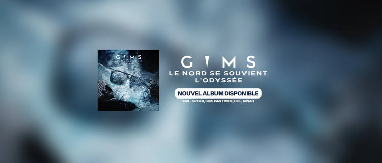 GIMS
