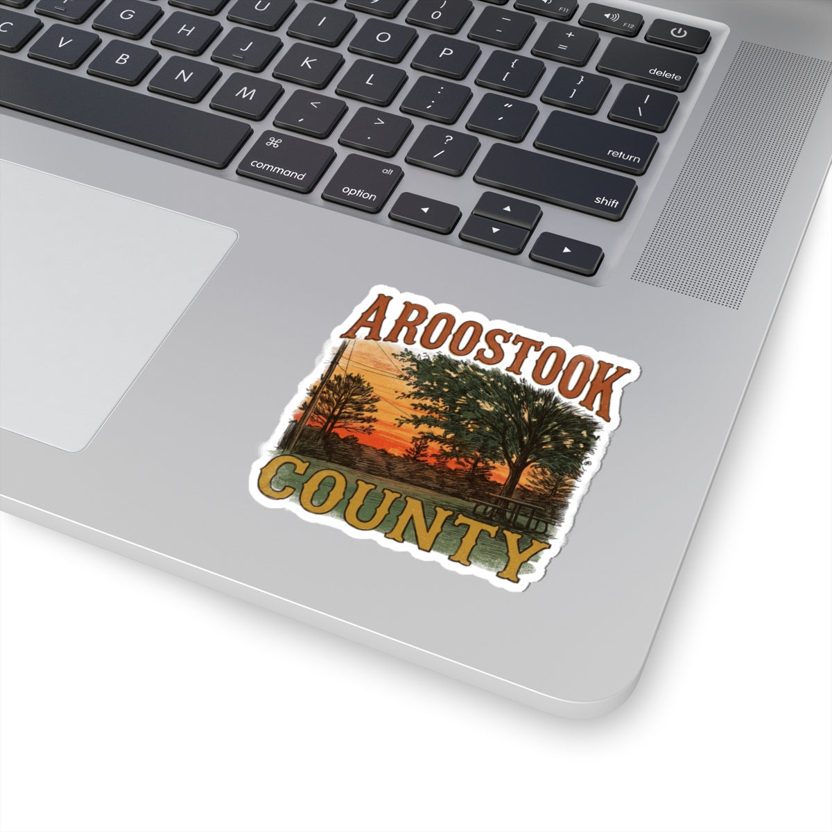 Aroostook County