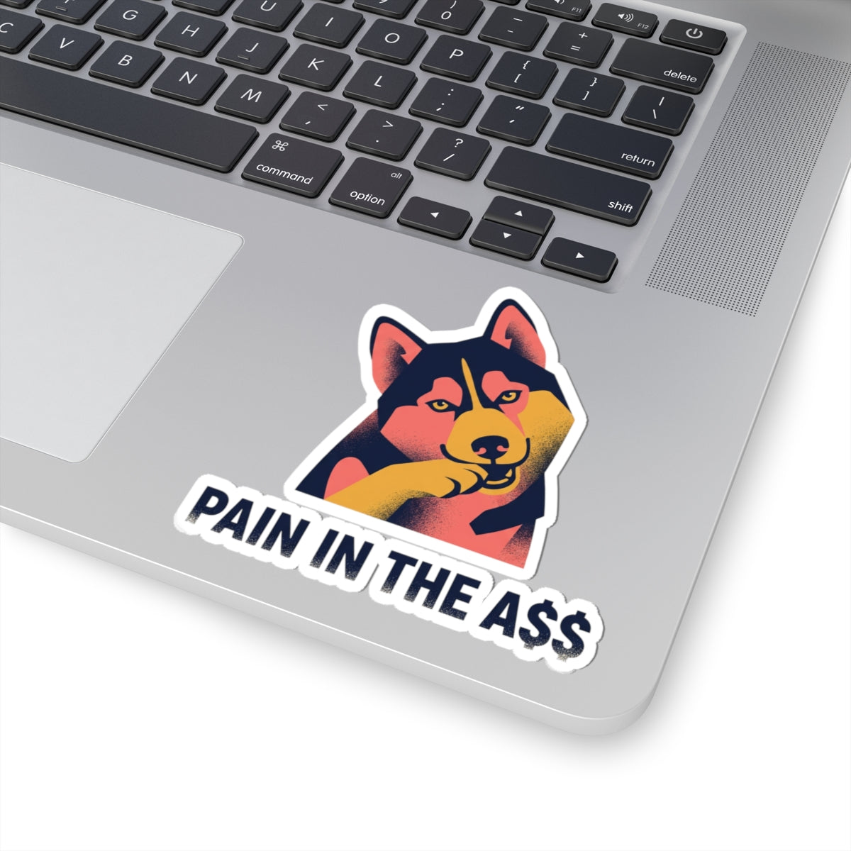 Pain In The A$$
