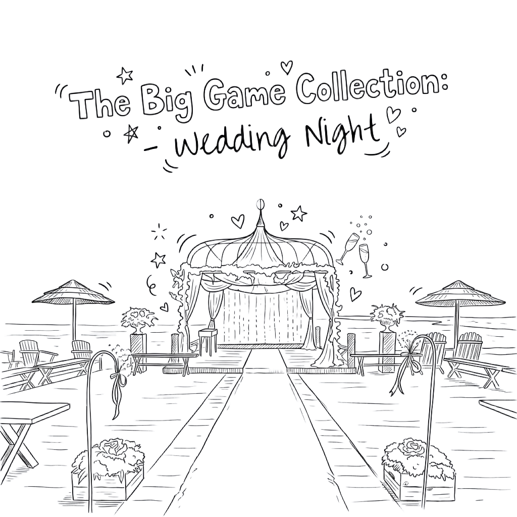 The Big Game Collection: Wedding Night