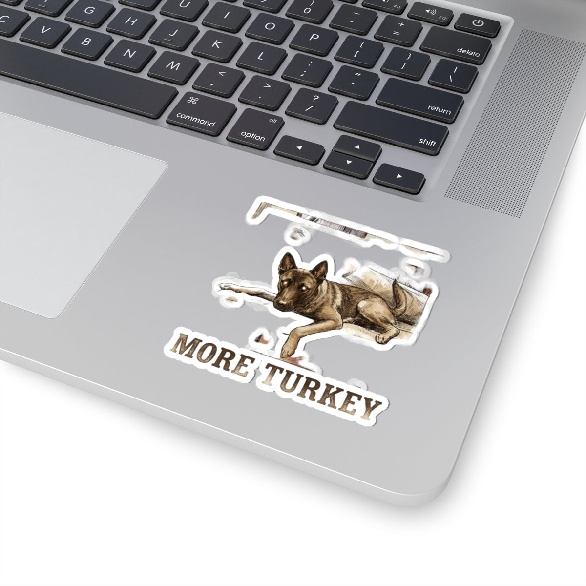 More Turkey