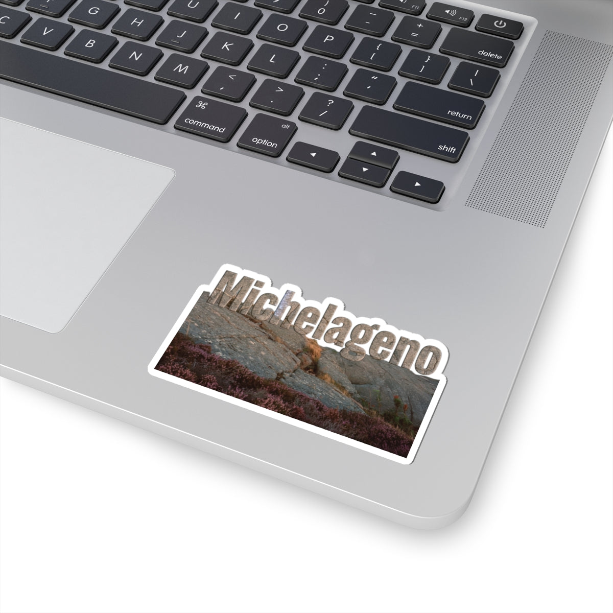 Michelangelo