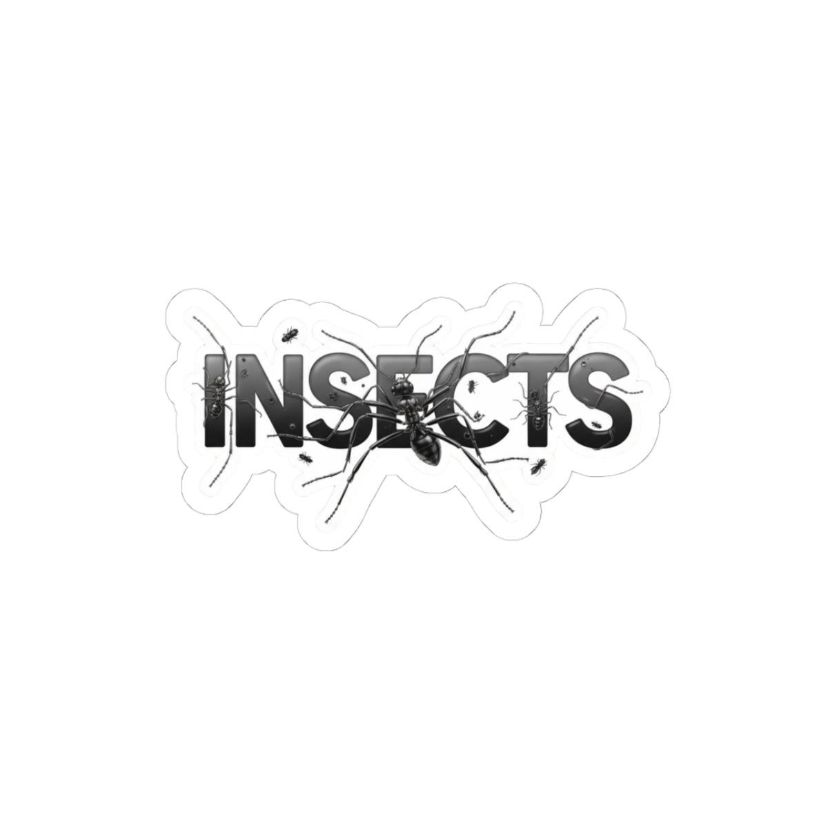 INSECTS
