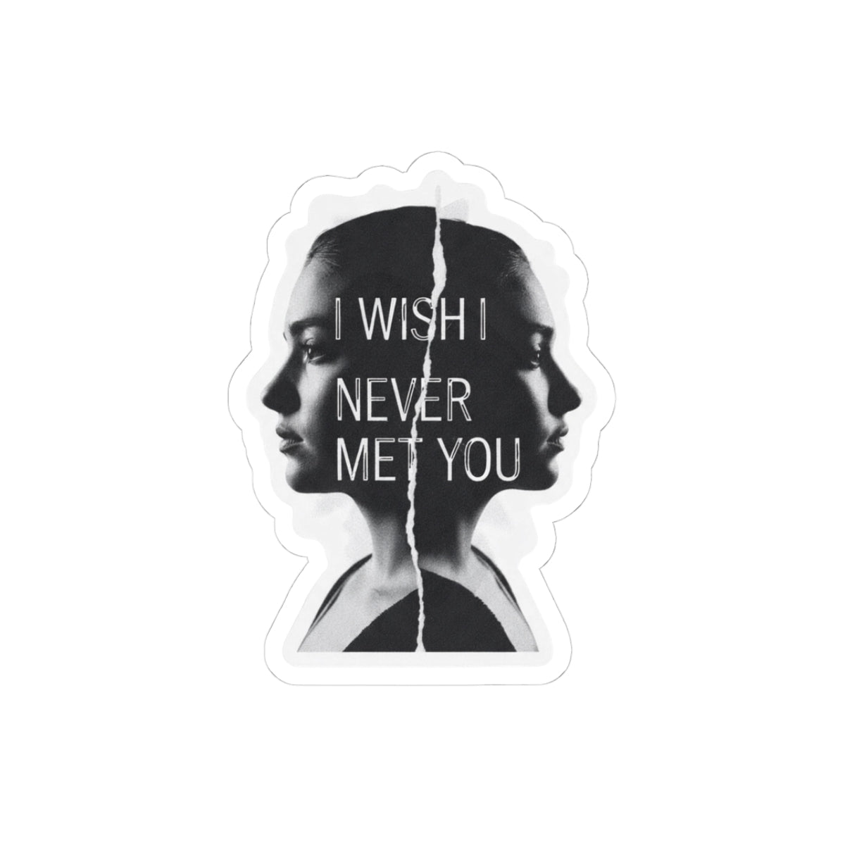 I Wish I Never Met You