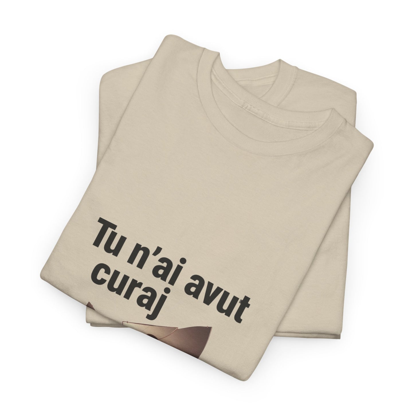 Tu n-ai avut curaj