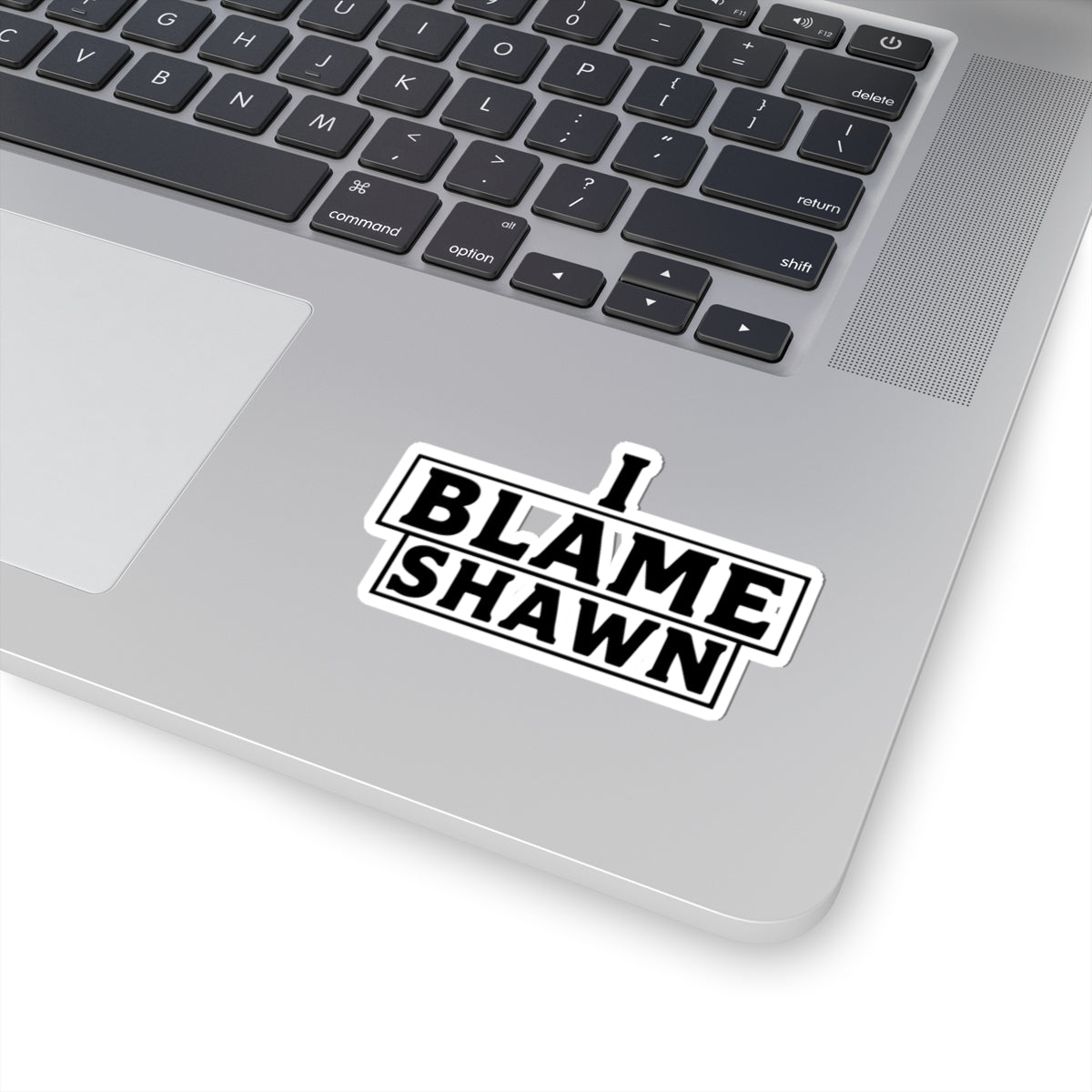 I Blame Shawn Light