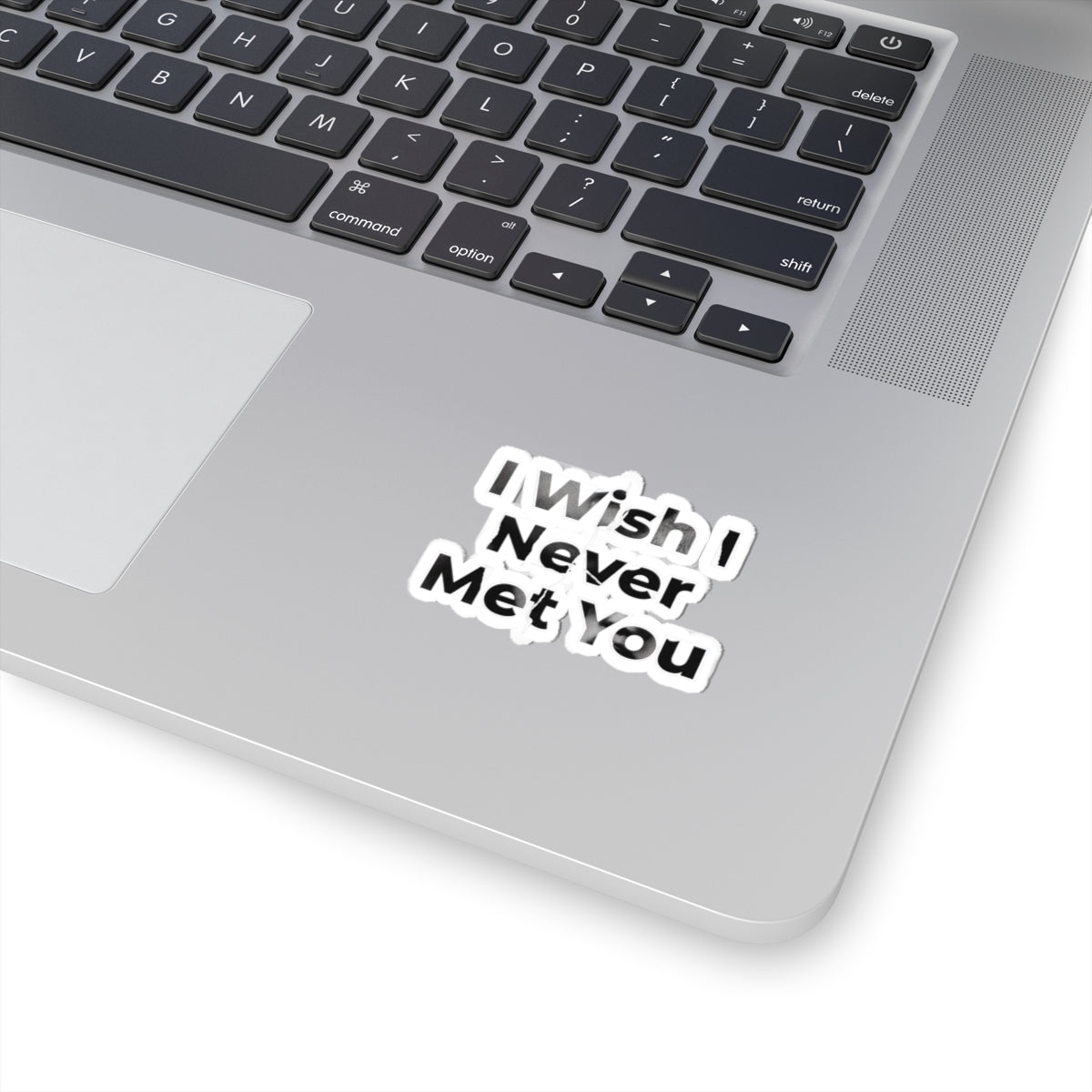 I Wish I Never Met You
