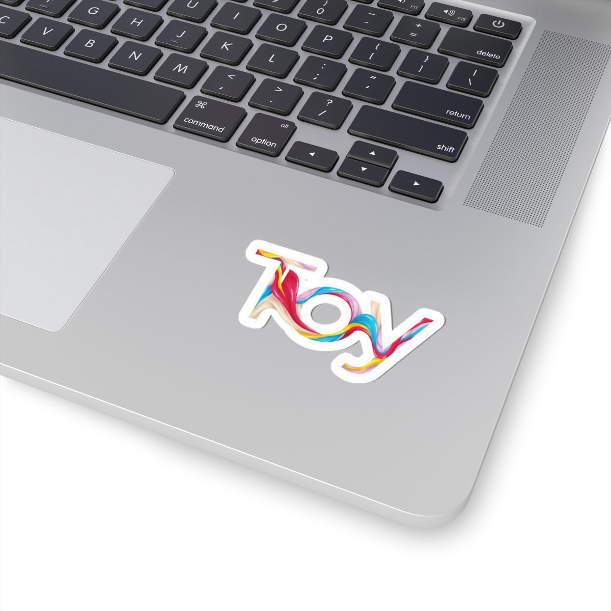Toy