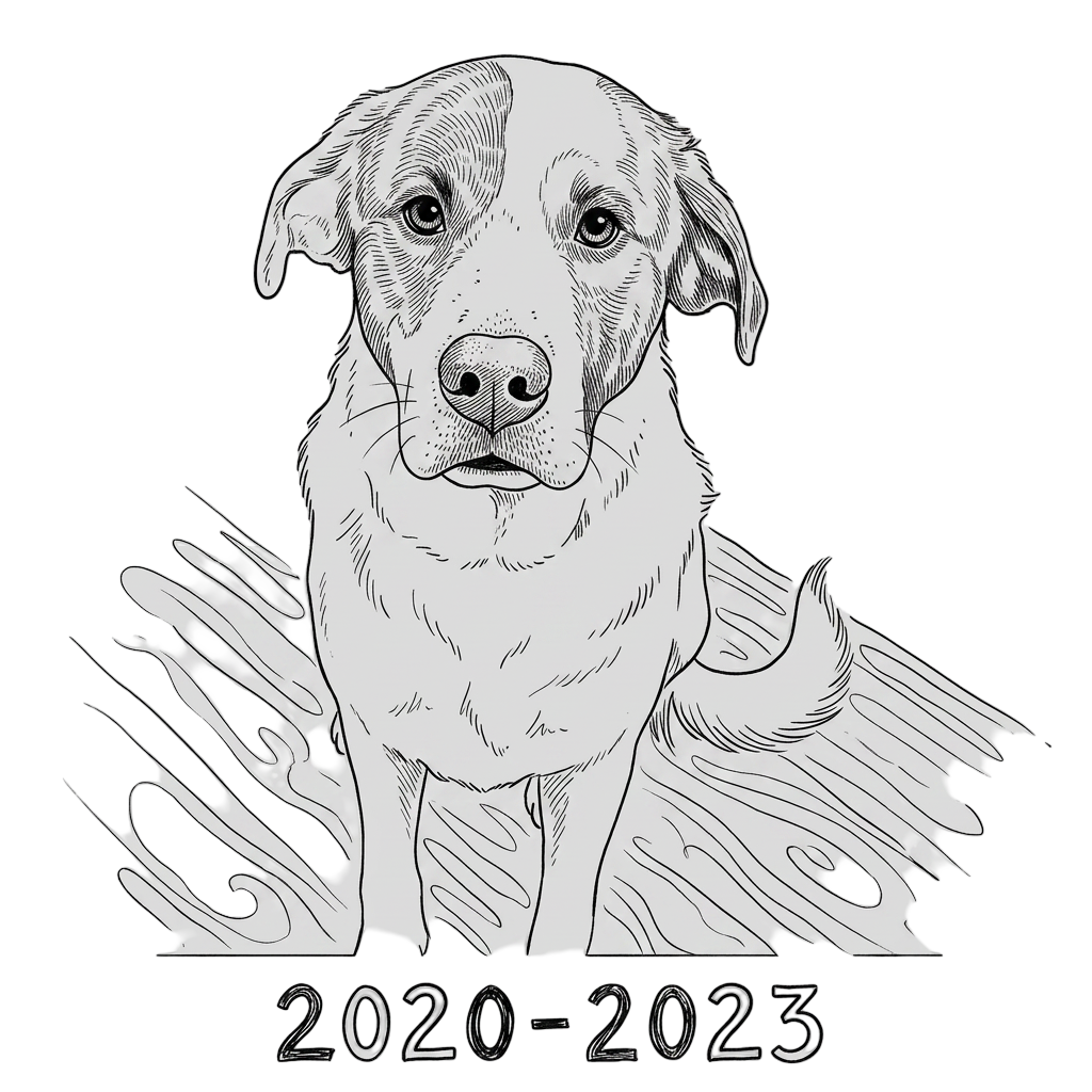 2020-2023