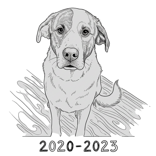 2020-2023