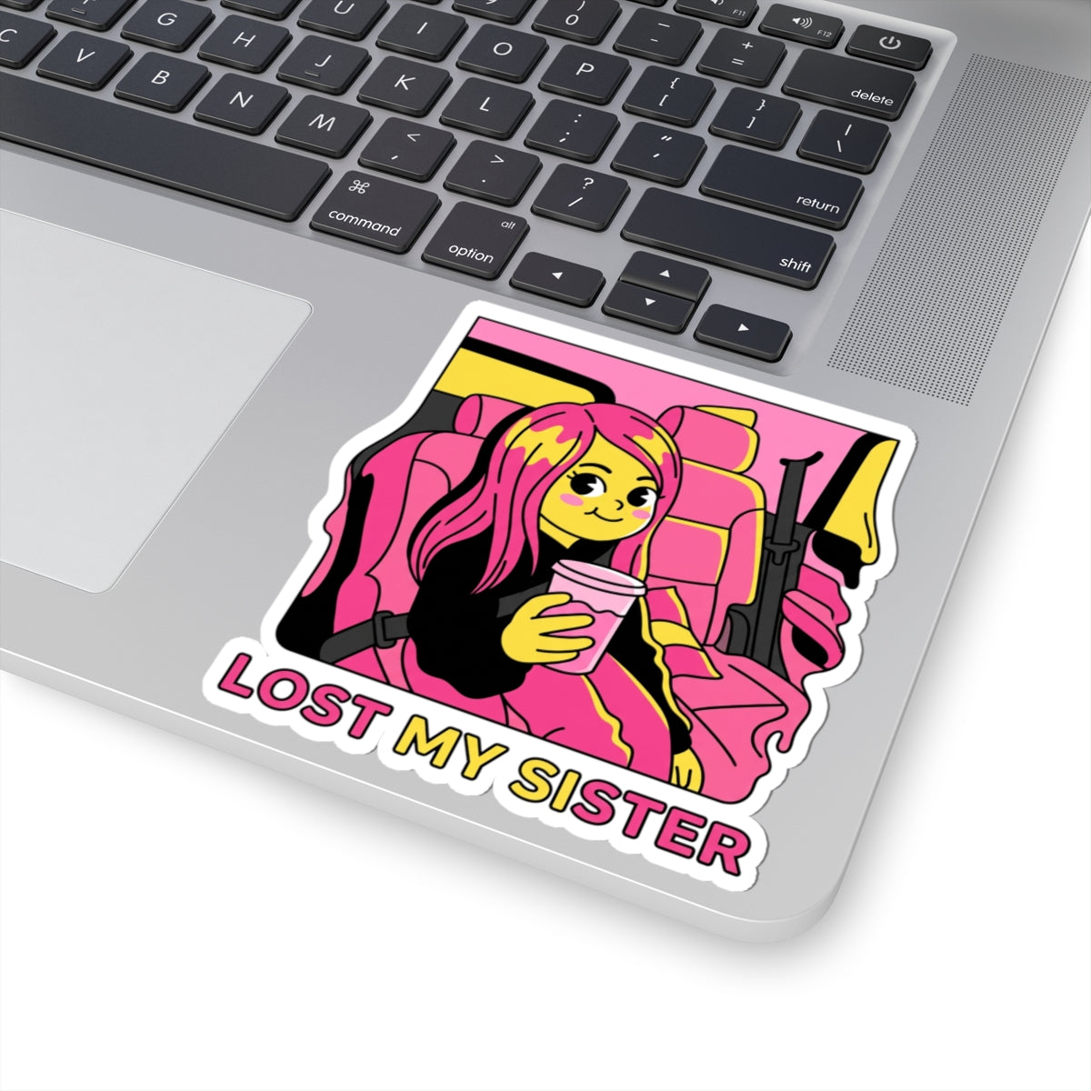 Lost My Sister