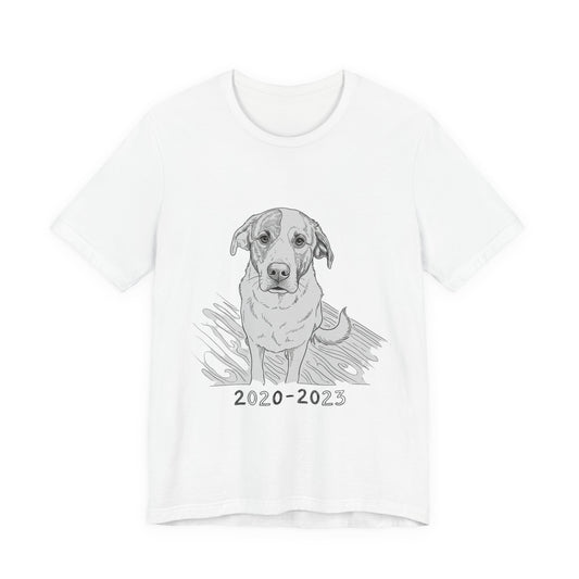 2020-2023
