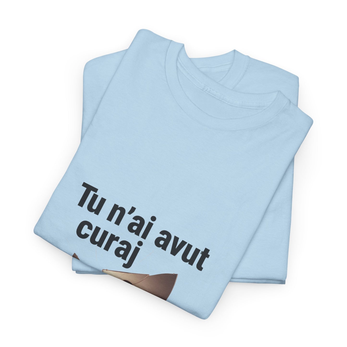 Tu n-ai avut curaj