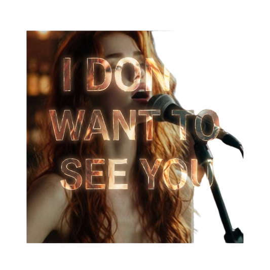 I Don't Want To See You