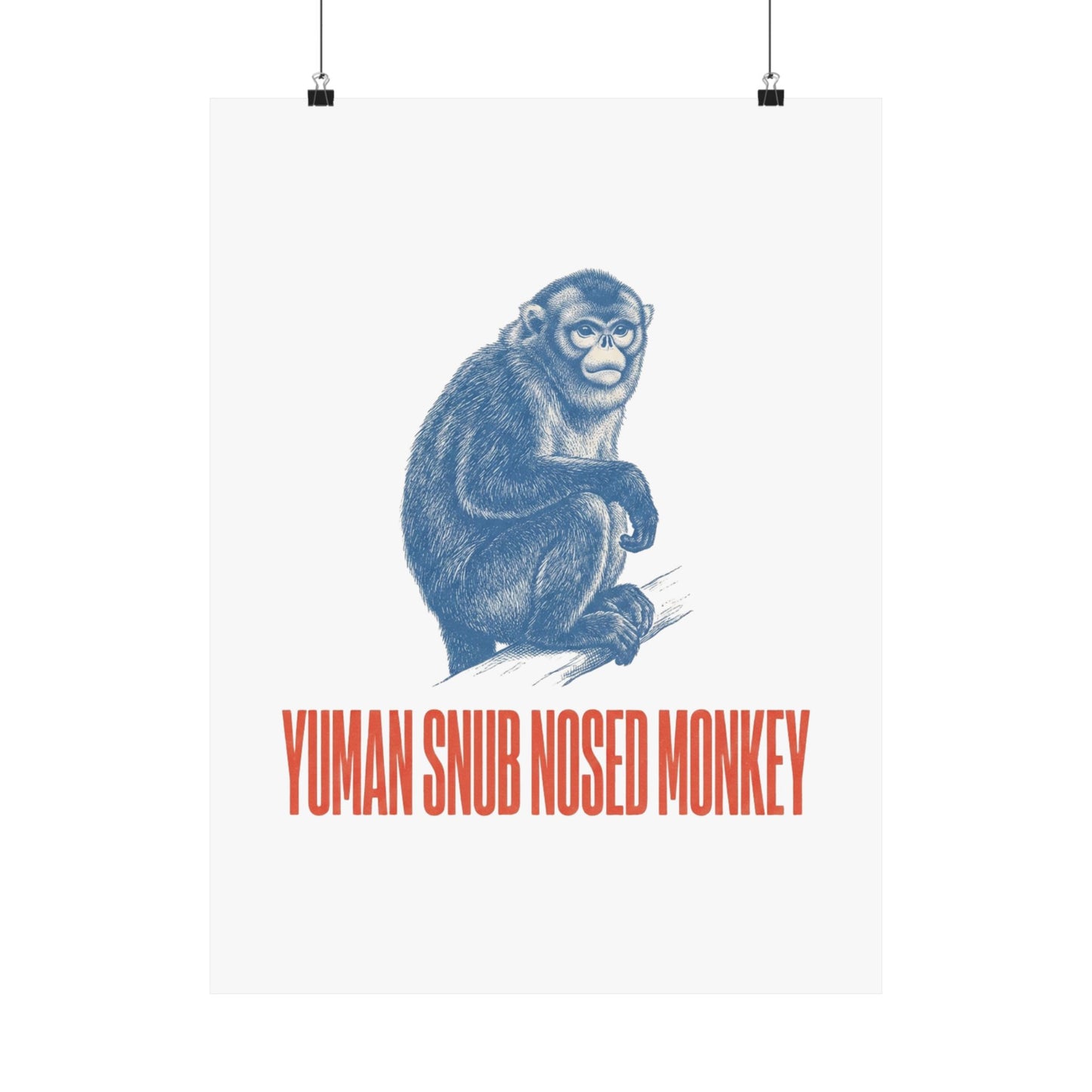 Yuman Snub Nosed Monkey