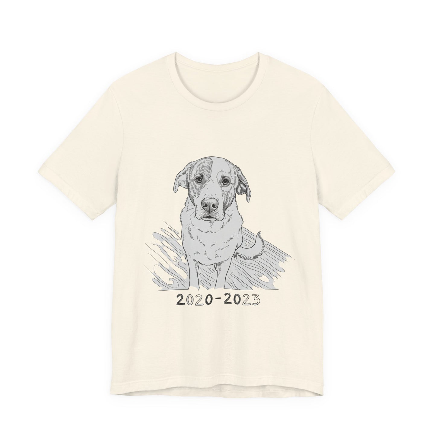 2020-2023