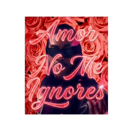 Amor No Me Ignores