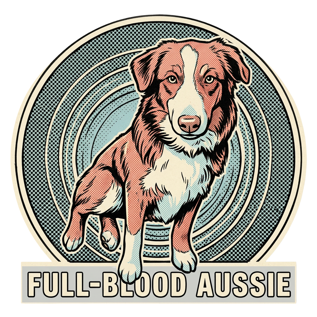 Full-blood Aussie