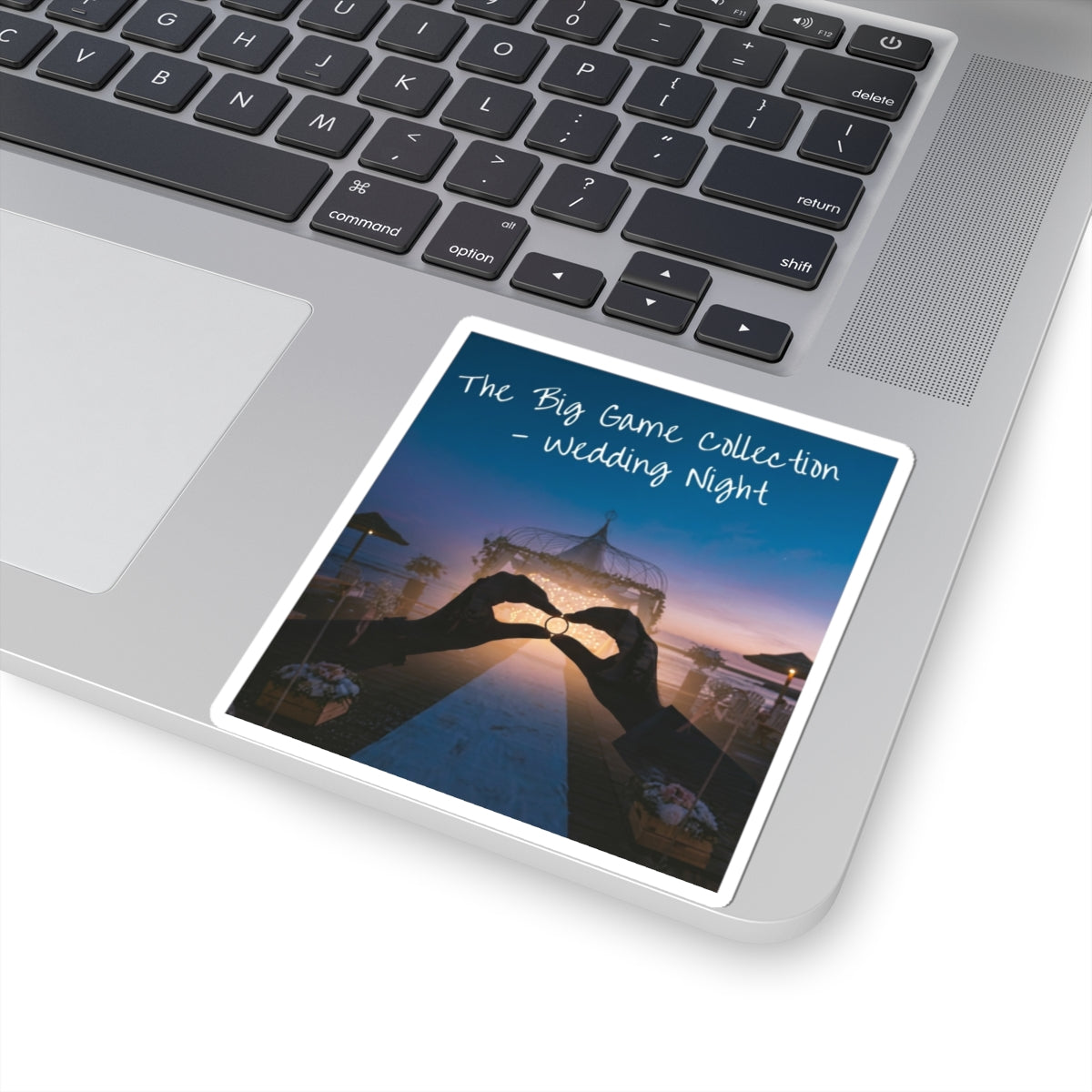 The Big Game Collection: Wedding Night