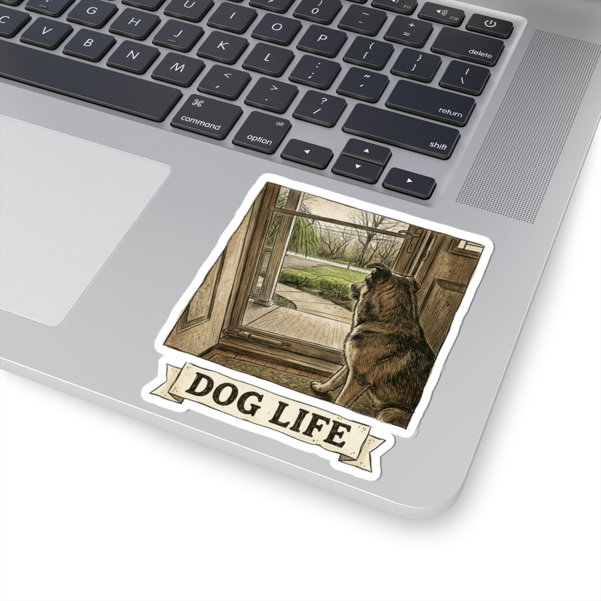 Dog Life