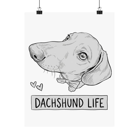 Dachshund Life