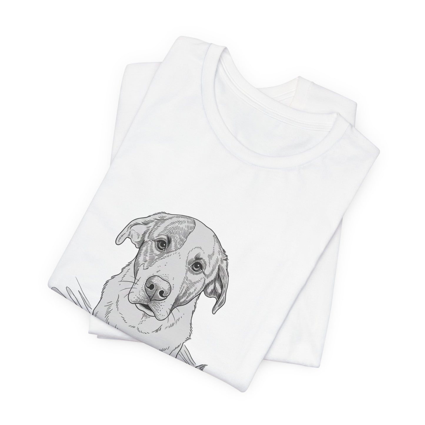 2020-2023