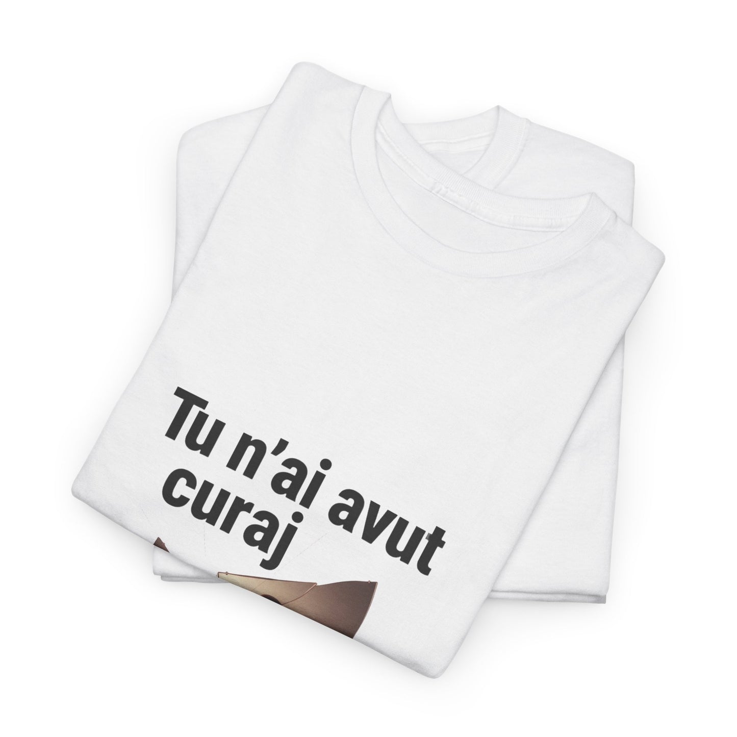 Tu n-ai avut curaj