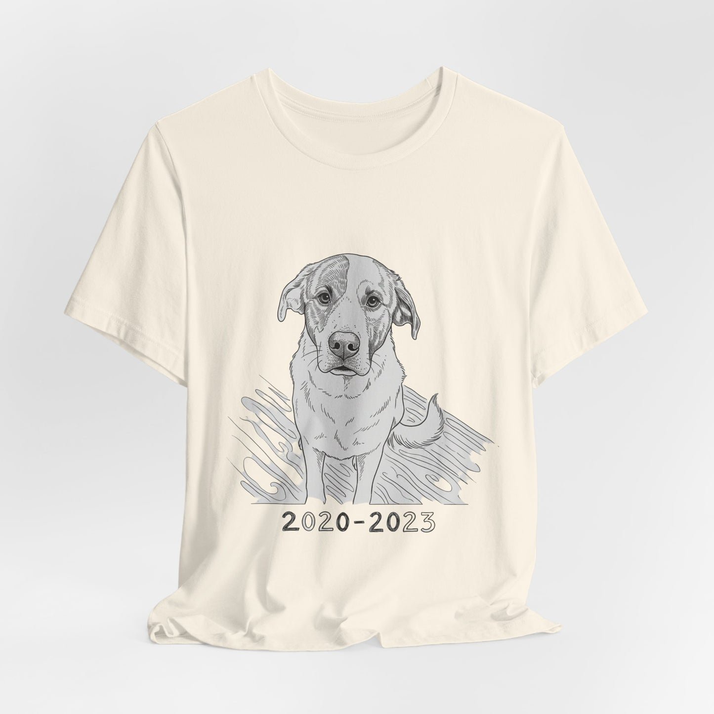 2020-2023