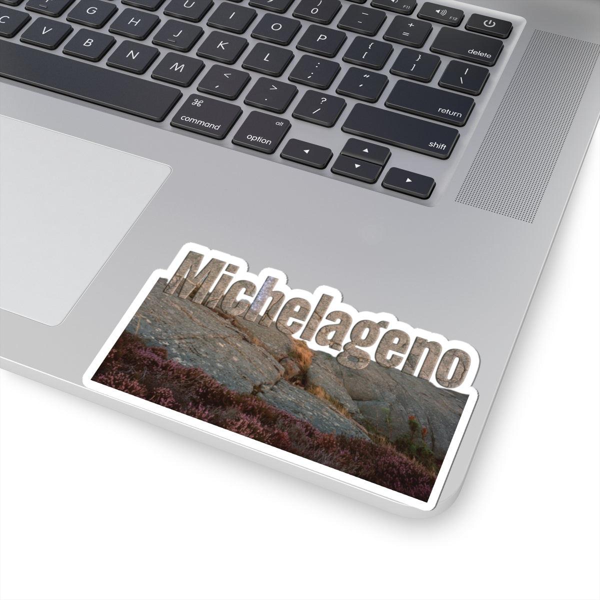 Michelangelo