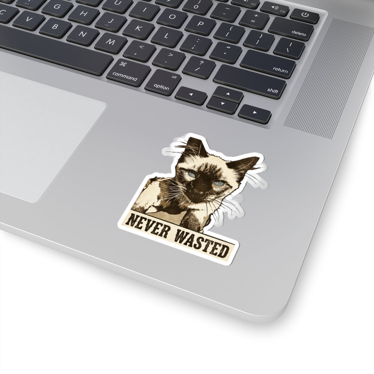 Never Wasted