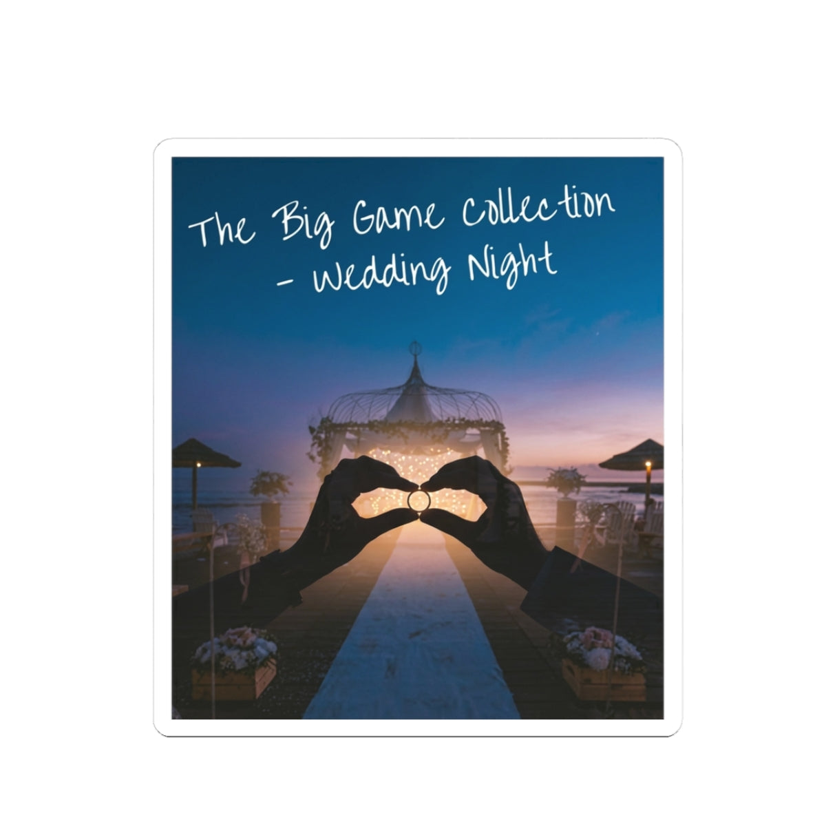 The Big Game Collection: Wedding Night