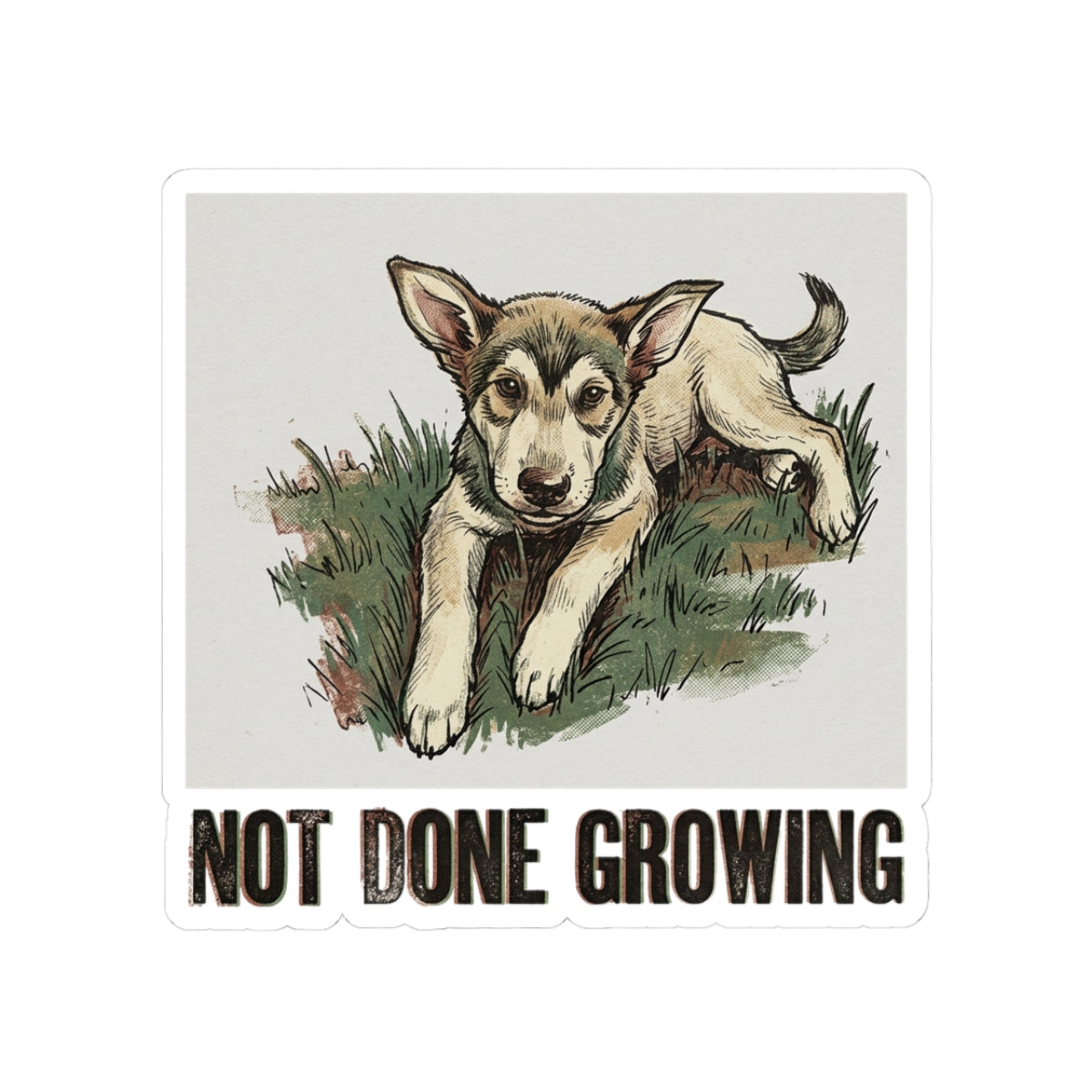 Not Done Growing