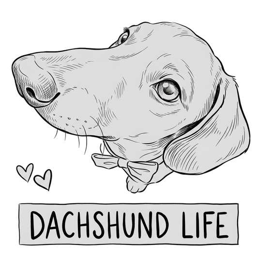 Dachshund Life