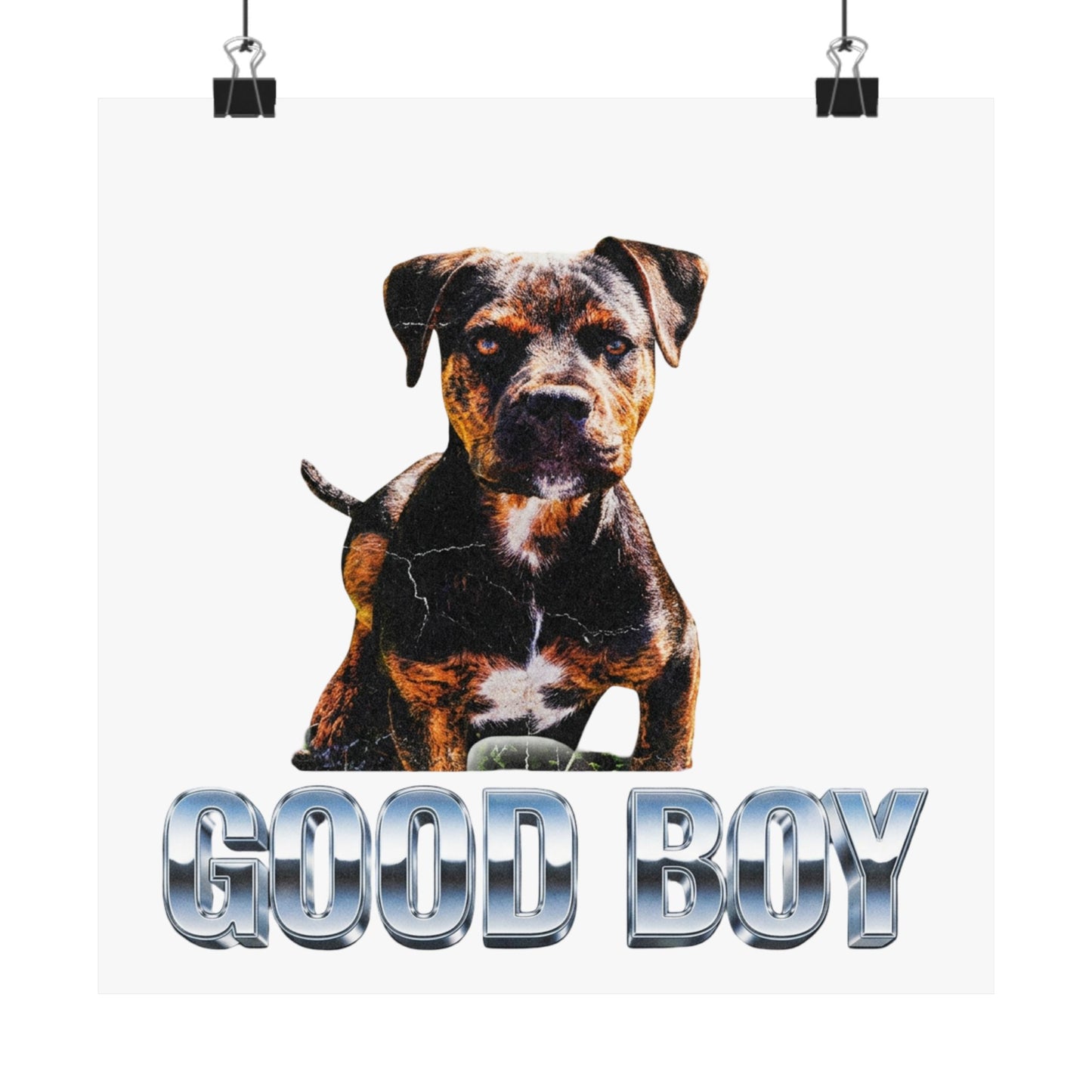 Good Boy