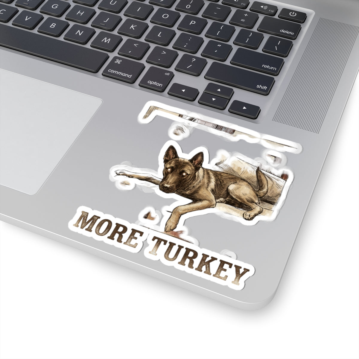 More Turkey
