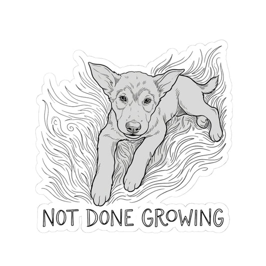 Not Done Growing