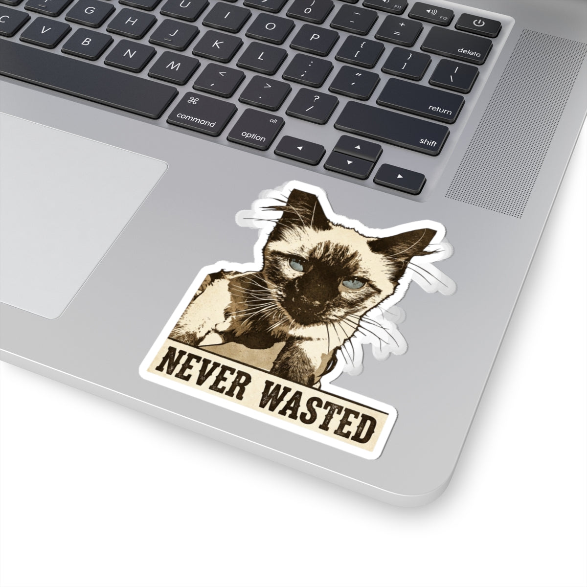 Never Wasted