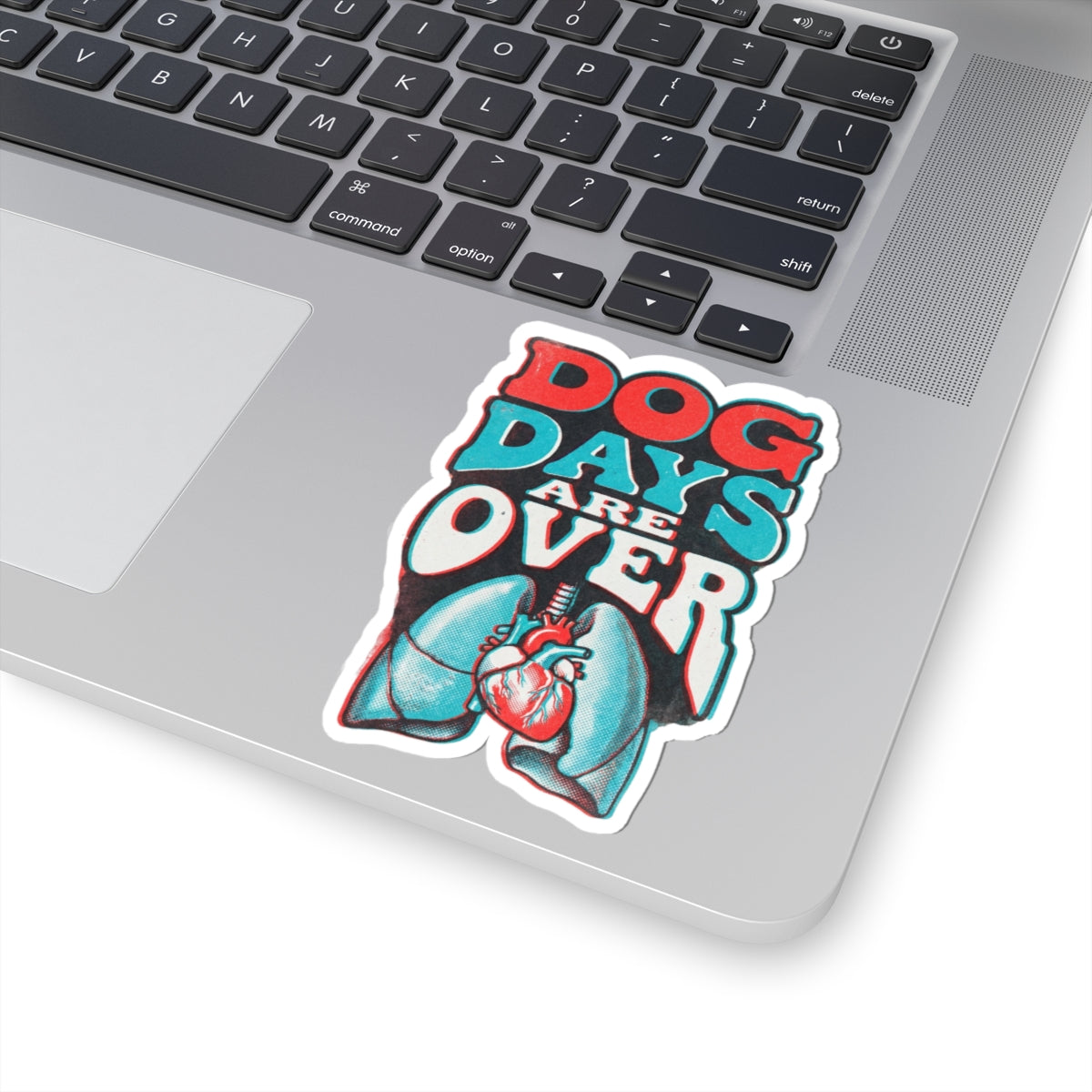 Dog Days Are Over
