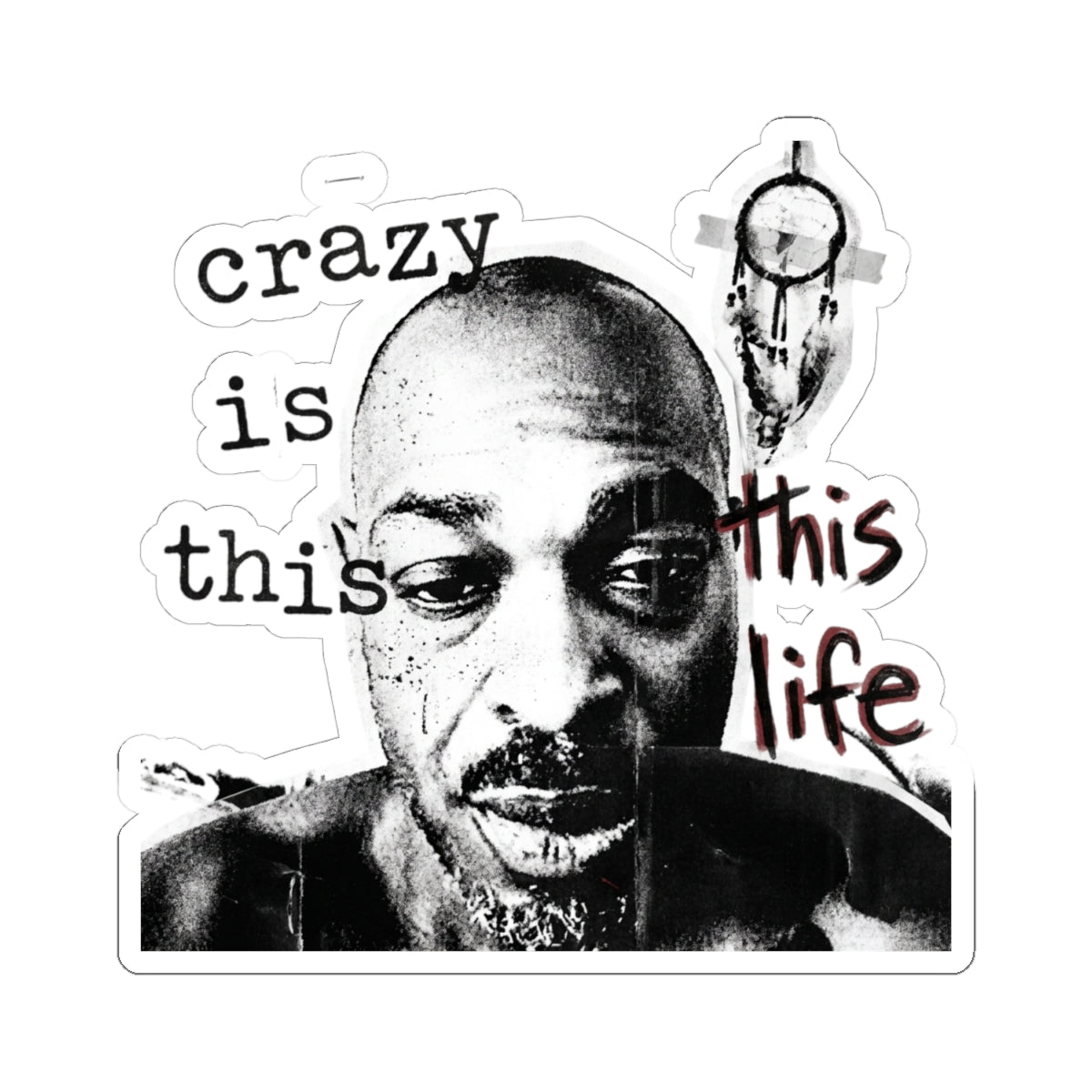 crazy is this life