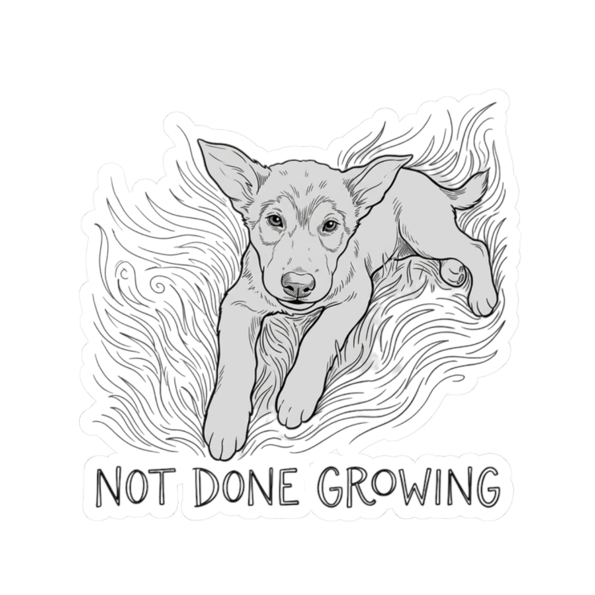 Not Done Growing