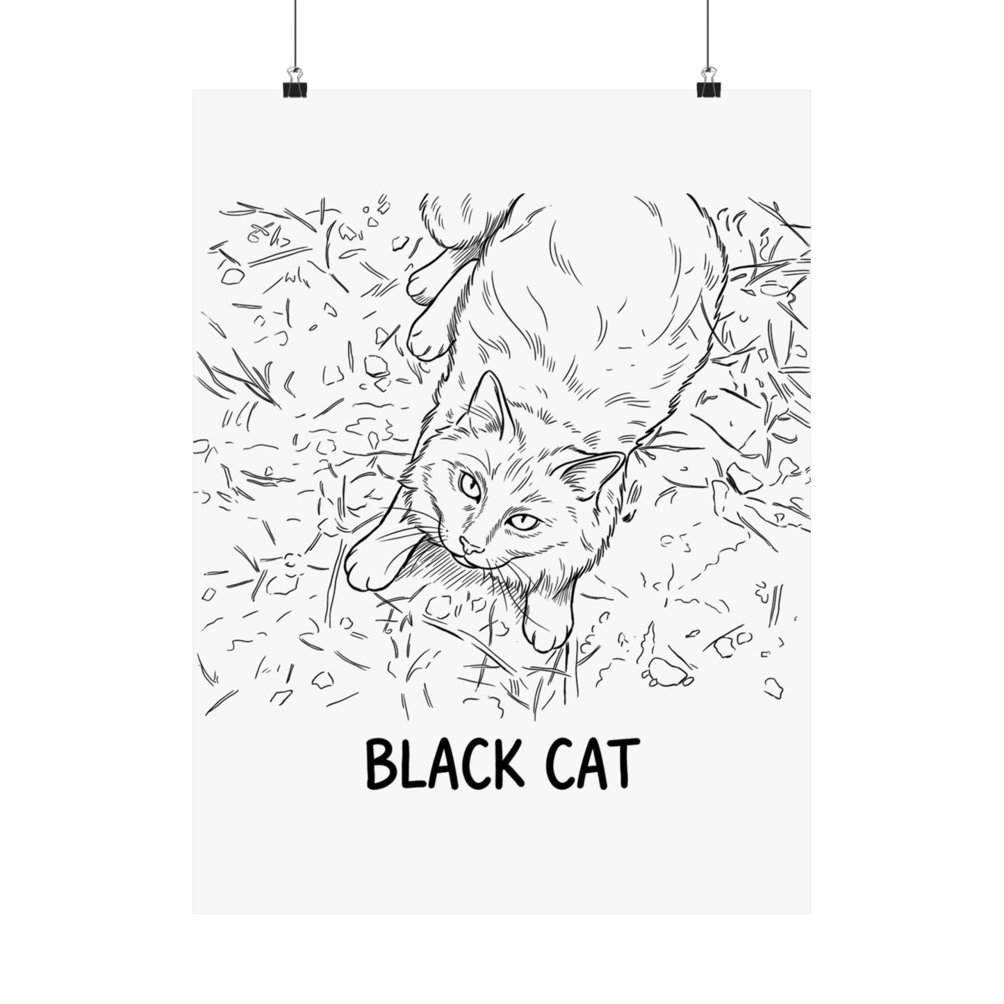Black Cat