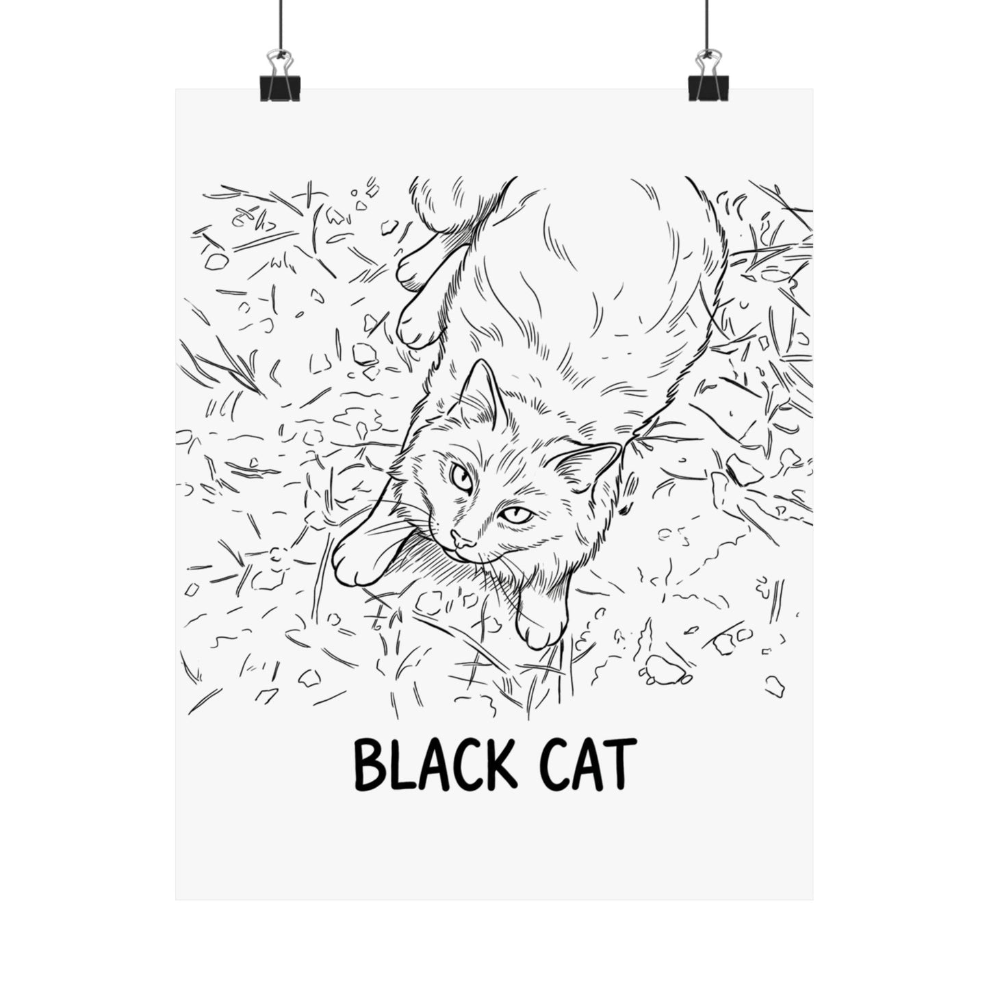Black Cat