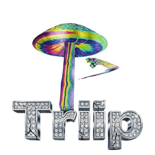 Triip