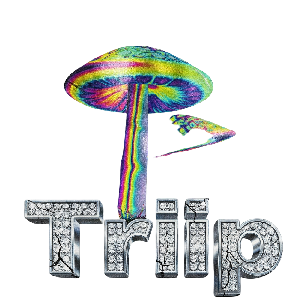 Triip