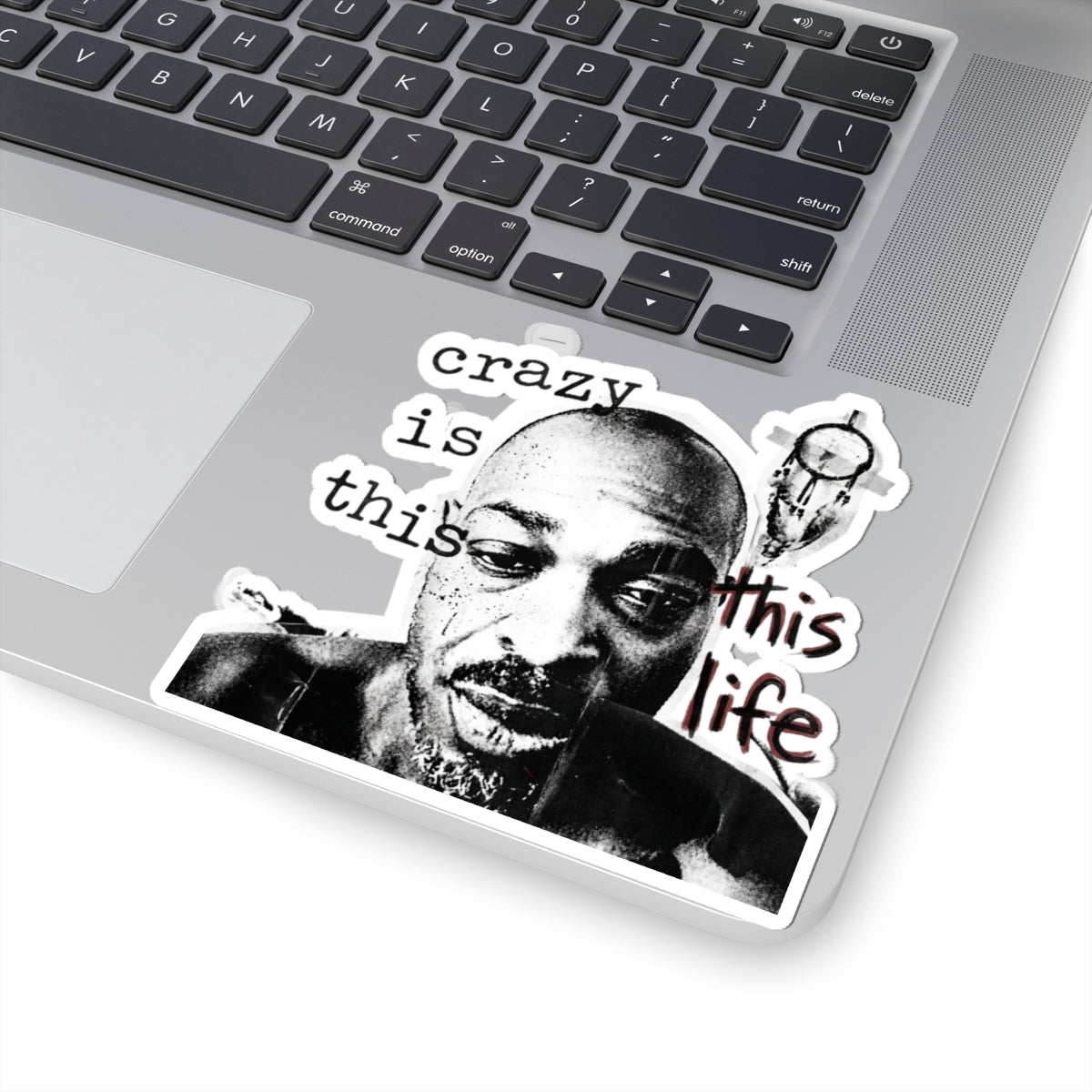 crazy is this life