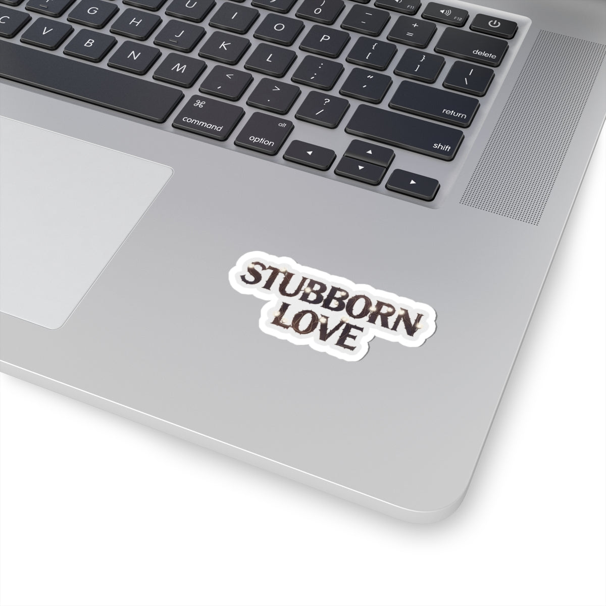 Stubborn Love